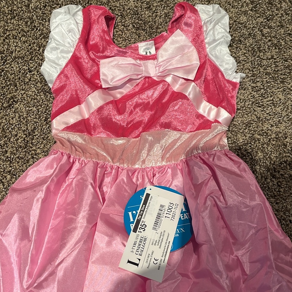 Cinderella pink gown - Picture 2 of 2